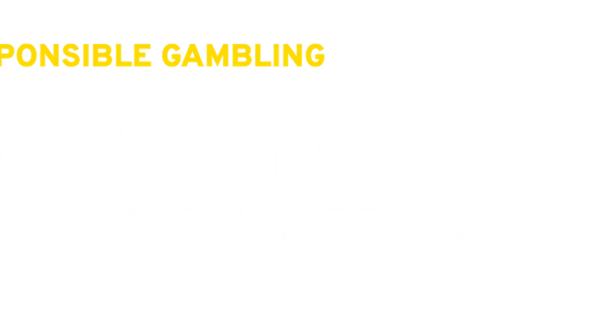 Responsible Gaming 21+ Shield and Player Protection Icon
